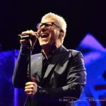 Michele Zarrillo Dario Pietropaoli