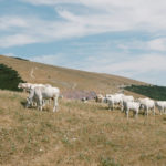 Marco Mengoni Monte Cucco (9)