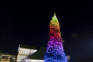 Il Villaggio di Natale (12)