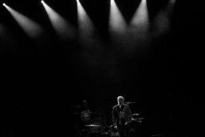 Doralisa D'Urso Masini We Music (13)