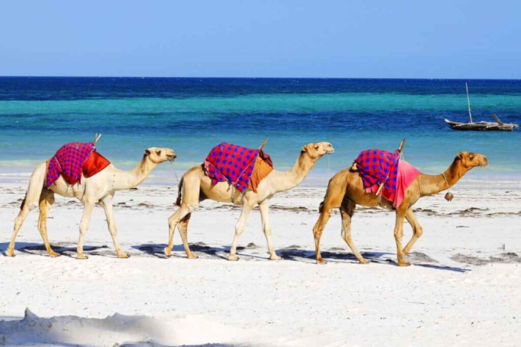 Marsa Alam