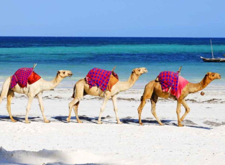 Marsa Alam