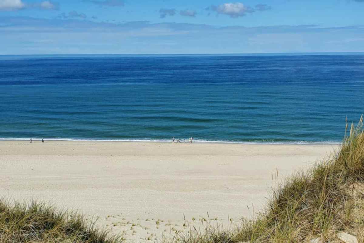 Sylt