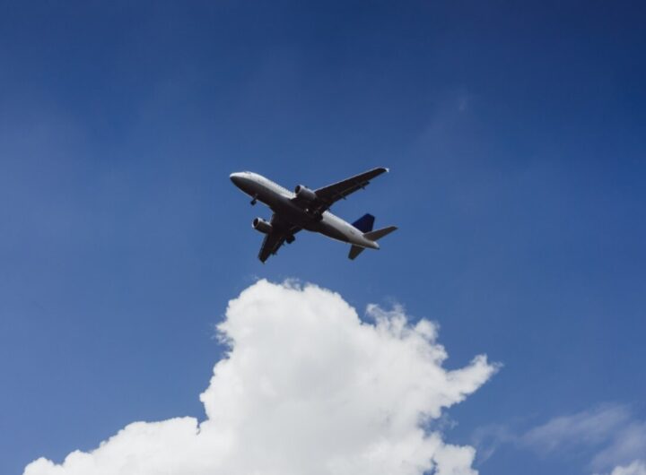 Volo