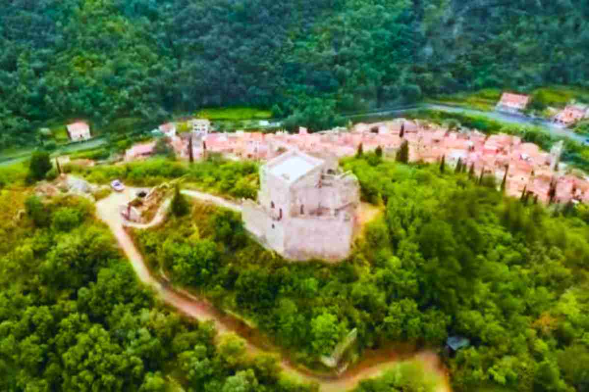 alla scoperta di zuccarello