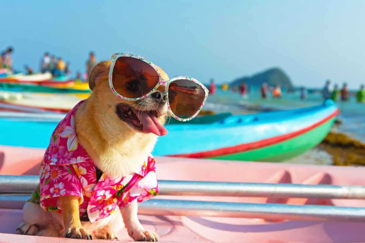 come portare cani vacanza con te