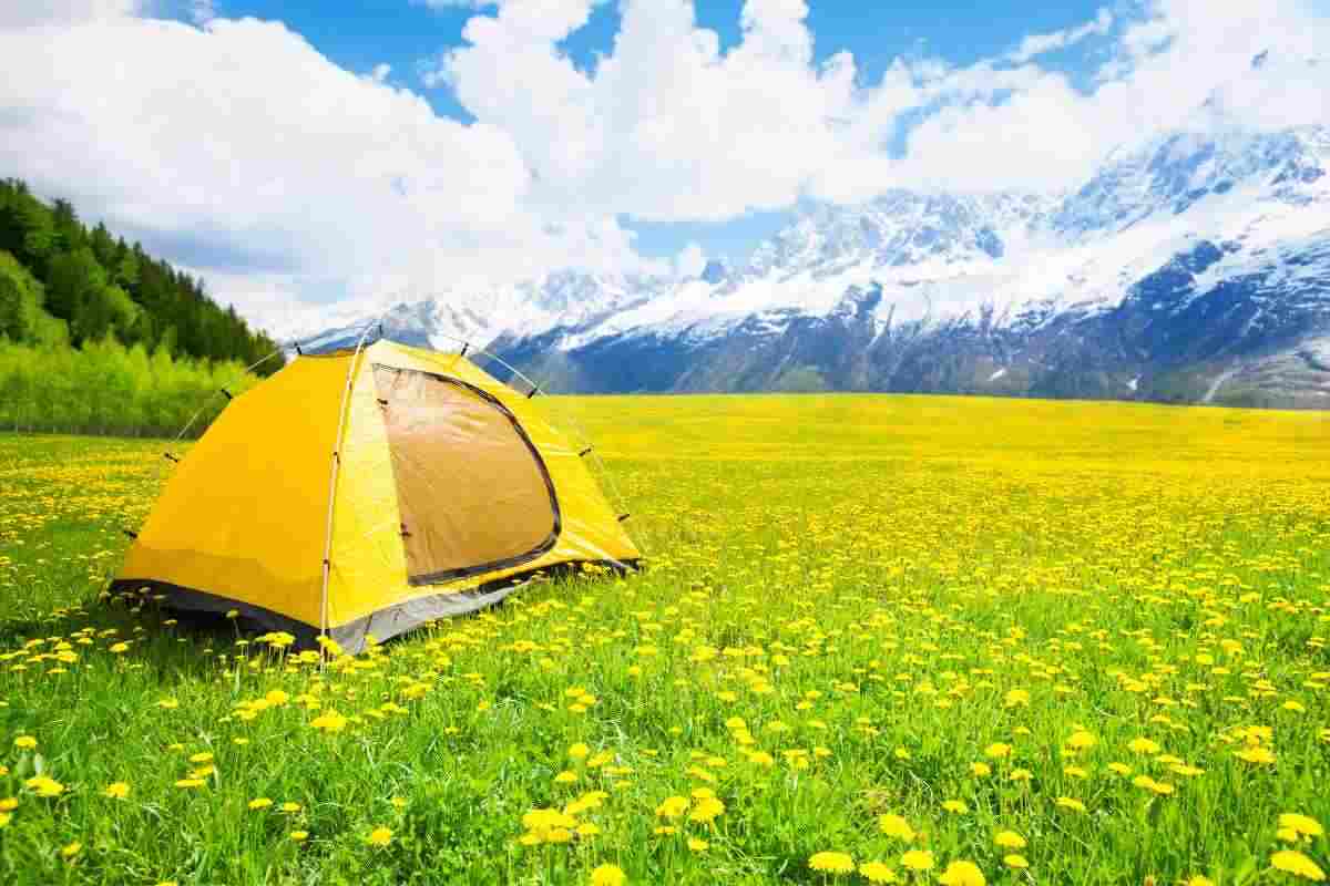 L'estate senza turisti e fatiche, dettagli e curiosità