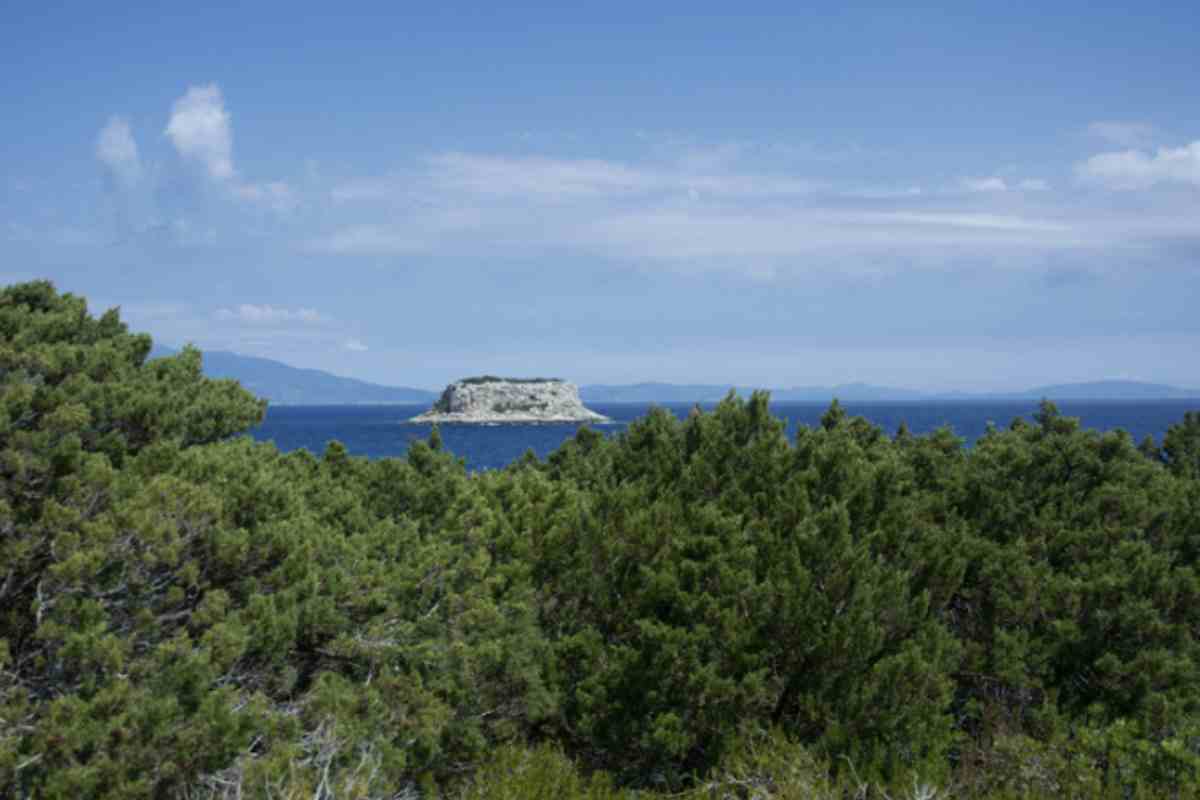 L’Isola di Pianosa è raggiungibile tramite traghetti ed escursioni giornaliere in partenza da Marina di Campo, sull’Isola d’Elba