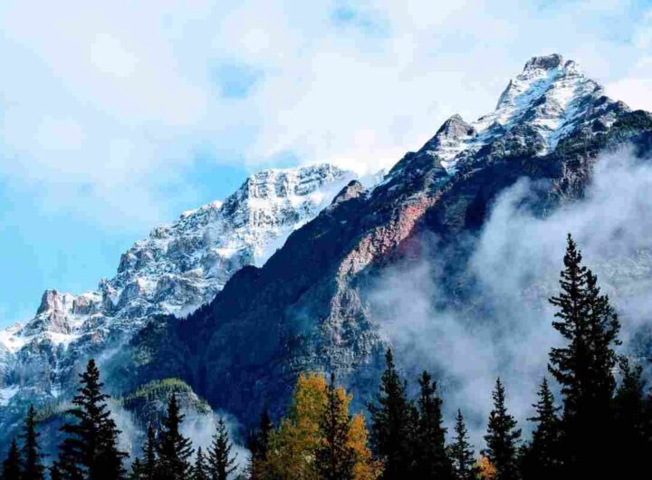 alta via del sale, scopri il percorso tra montagna e mare tra le alpi liguri