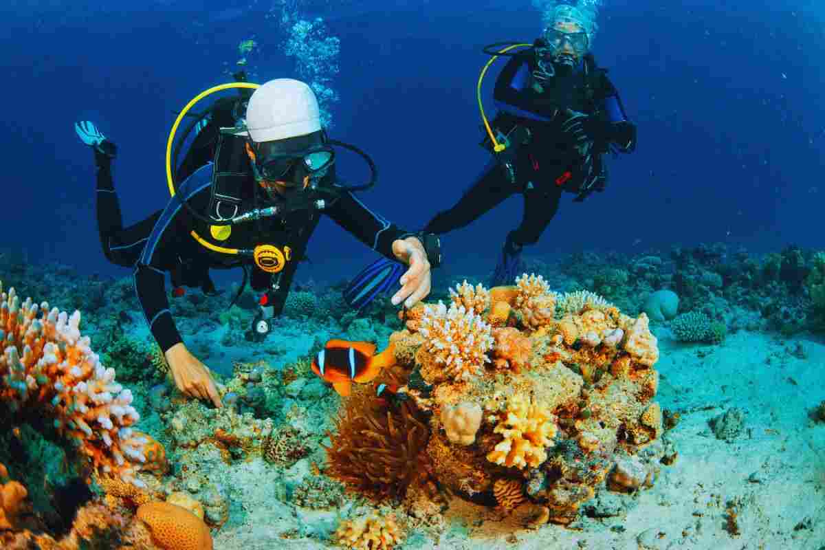 I fondali marini più belli per fare snorkeling