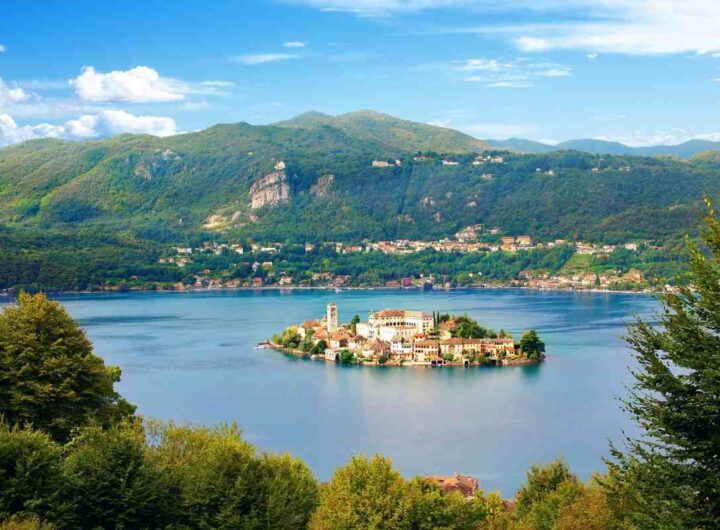 scopri la città dei gatti