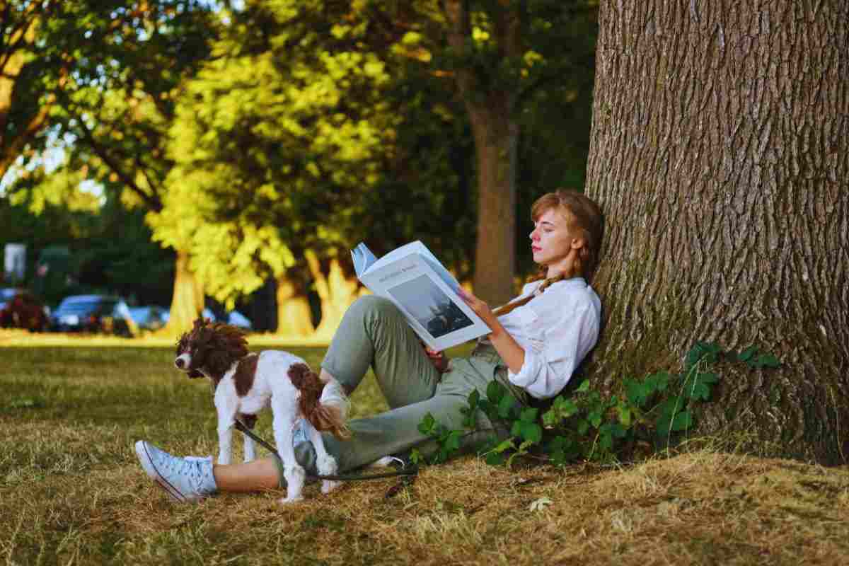 cos'è la quietcation?