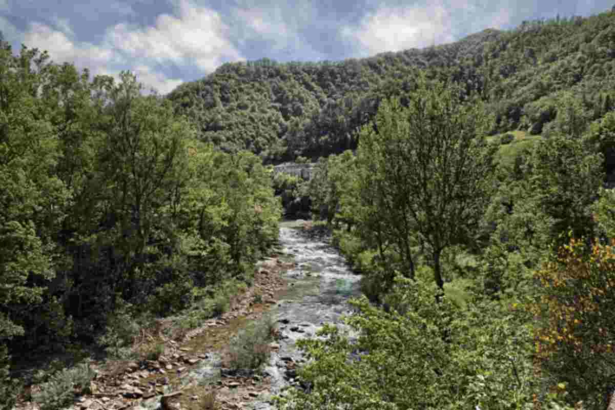Estendendosi su un vasto territorio collinare, Firenzuola è il comune più ampio della provincia di Firenze, con un centro storico raccolto e ben conservato.