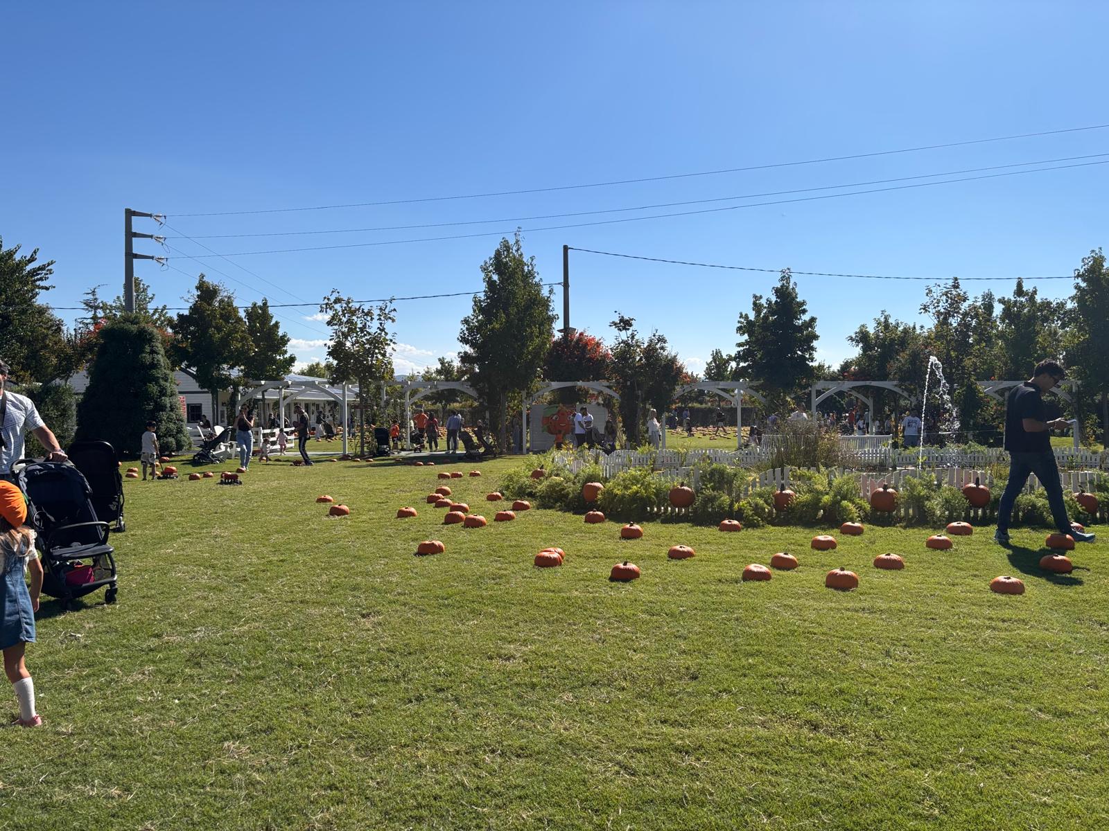 Giardino delle zucche