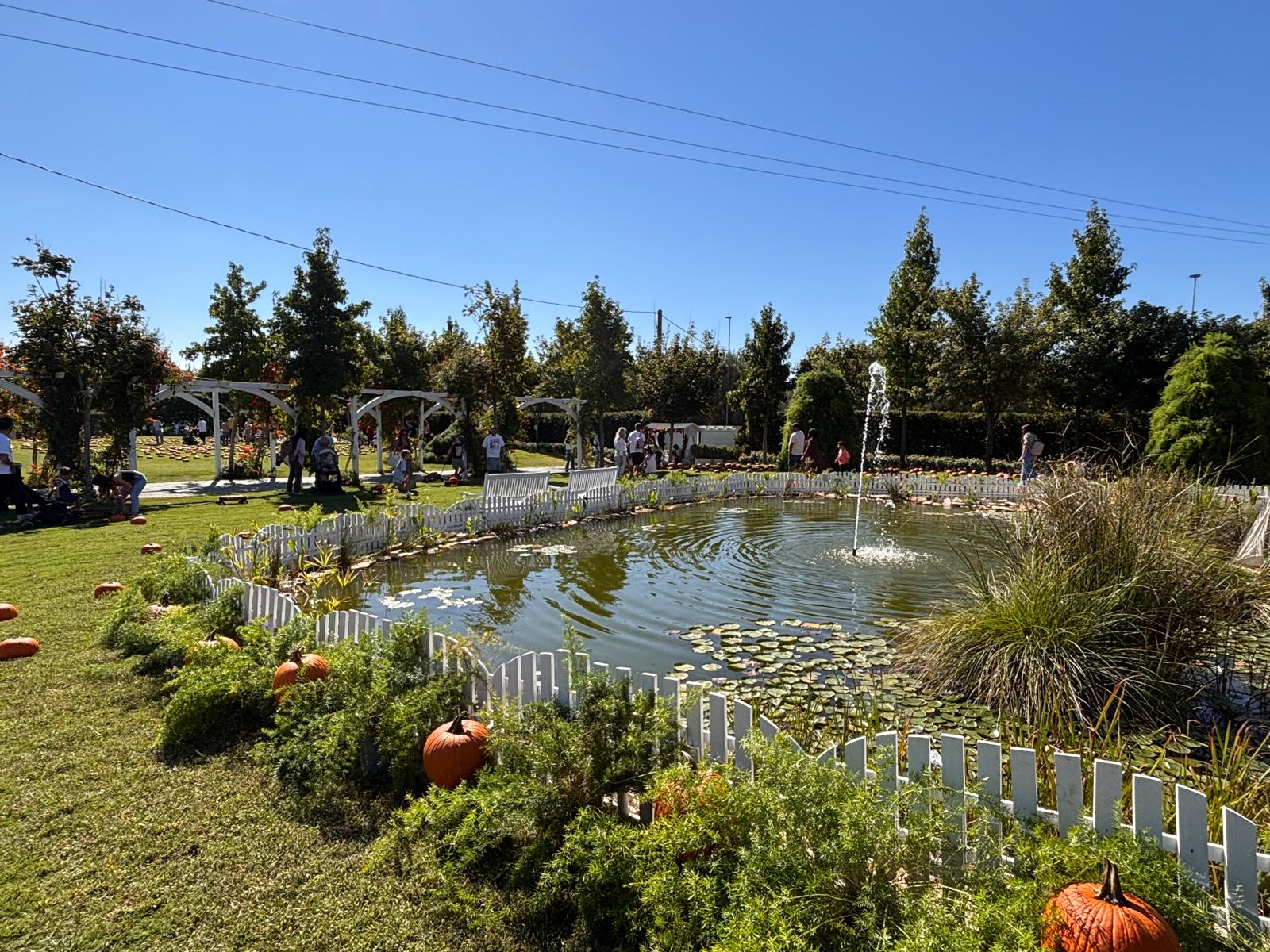Giardino delle zucche