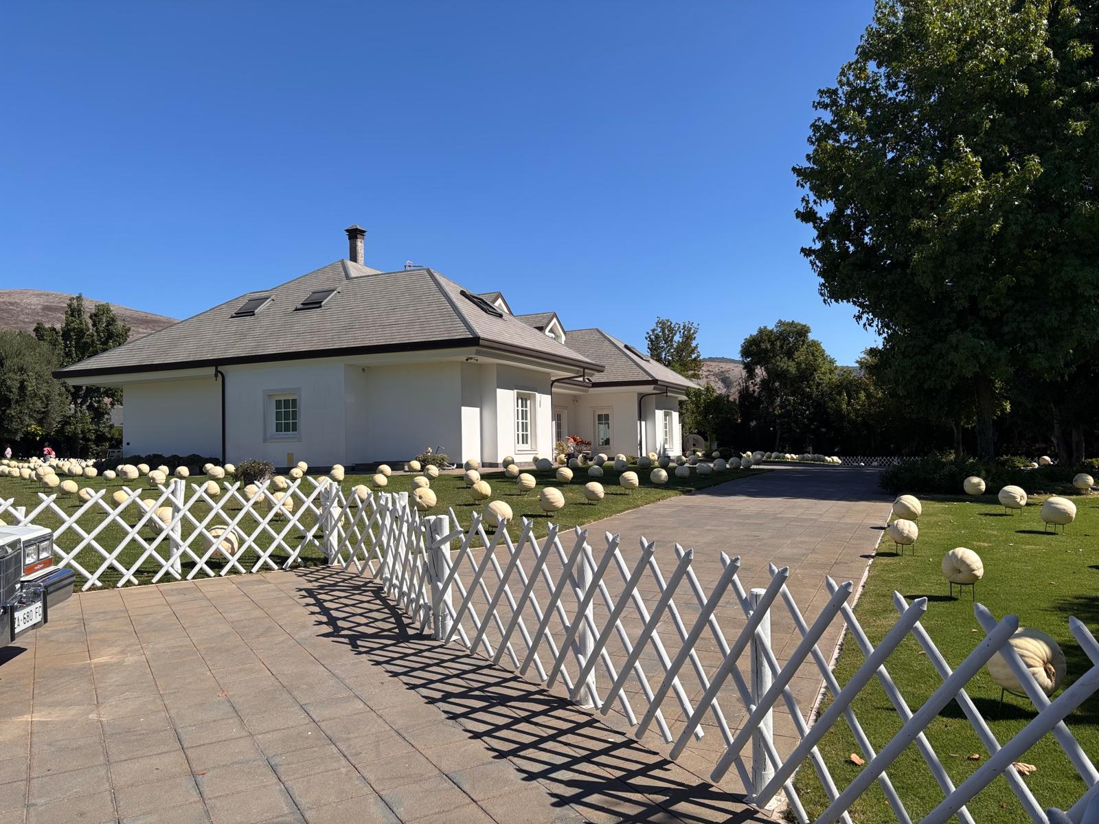 Giardino delle zucche
